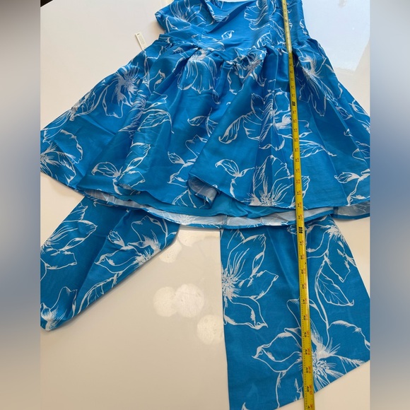 NWT Anthropologie Hutch Sleeveless Back-Bow Basque-Waist
Mini Dress Sz Large - Picture 6 of 15